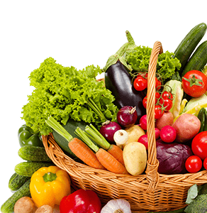 Fresh farm vegetables assortment